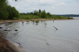 Truman Reservoir on the Osage River: purpose - flood control, hydropower, recreation